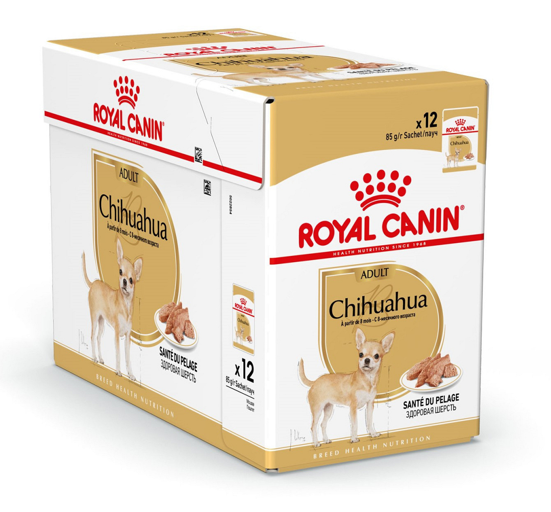Nutteloos liefde Luiheid Royal Canin hondenvoer Chihuahua Adult 12 x 85 gr | Hofstede Dier & Tuin